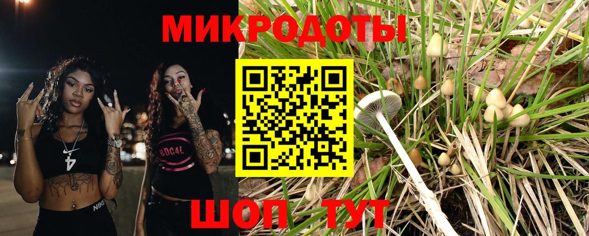 Галлюциногенные грибы Psilocybine cubensis Зеленокумск