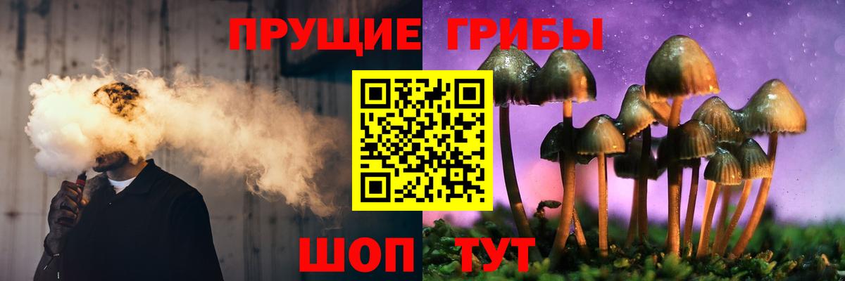 наркошоп  Псилоцибиновые грибы MAGIC MUSHROOMS  Вход с VPN  Зеленокумск 